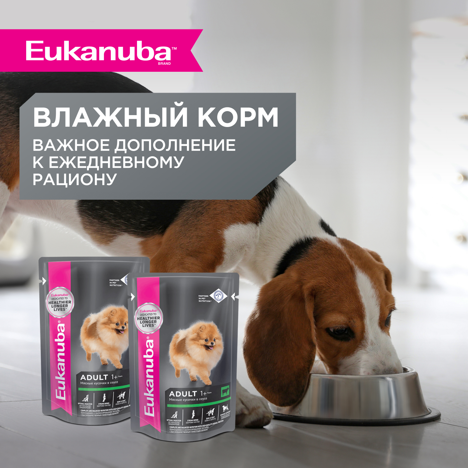 Корм для собак EUKANUBA Adult Toy Breed для миниатюрных пород сух.