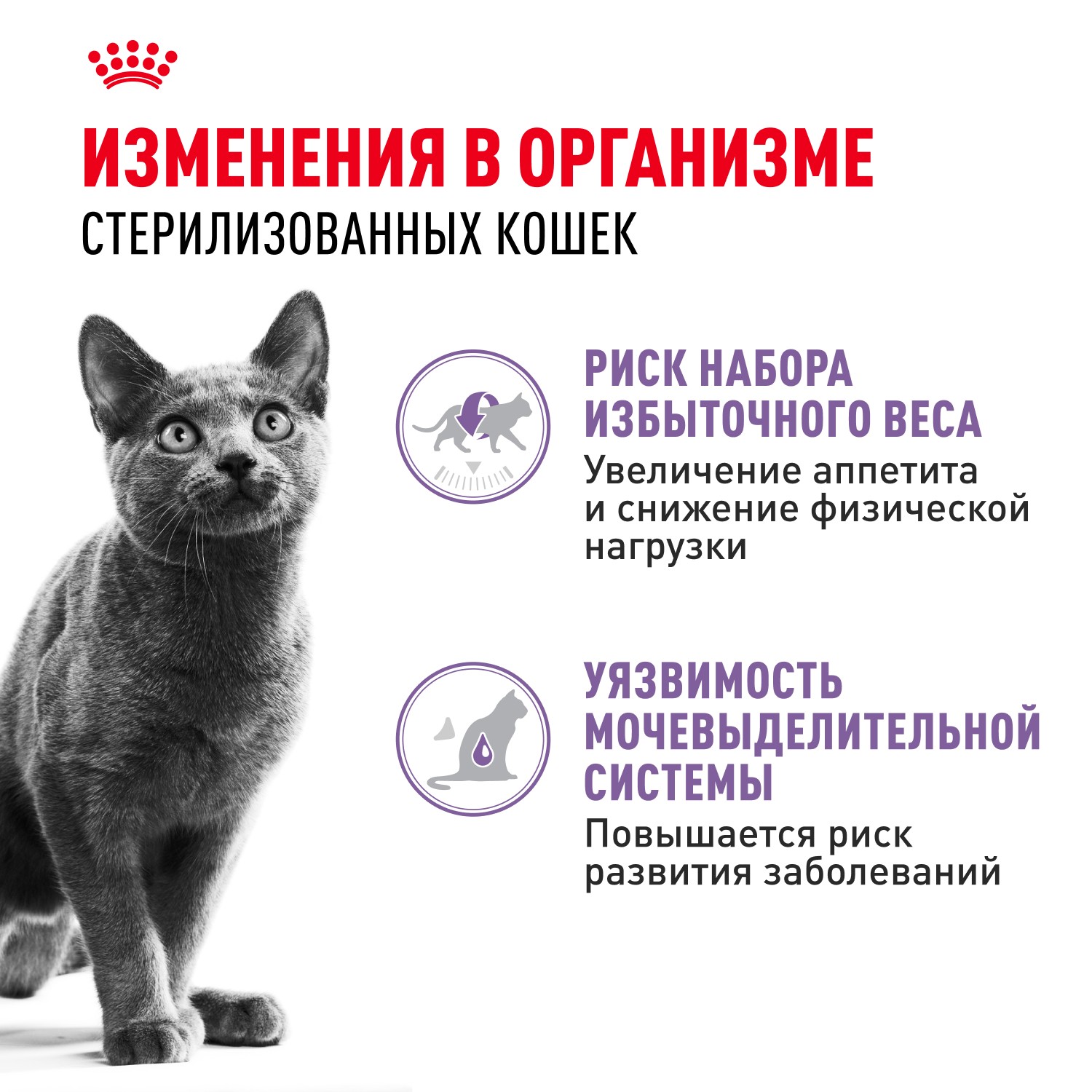 Корм для кошек ROYAL CANIN Sterilised для стерилизованных, мясо в желе пауч