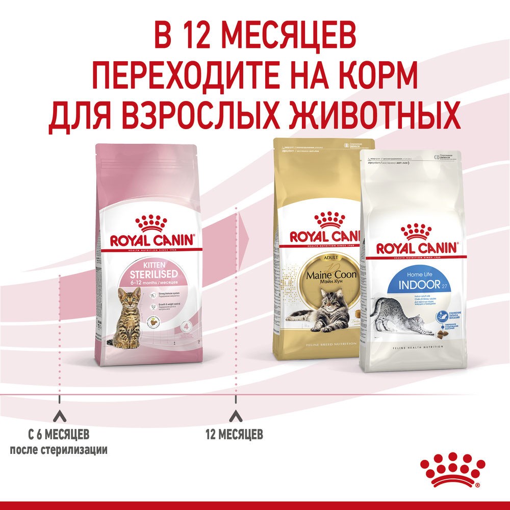 Корм для котят ROYAL CANIN Kitten Sterilised сбалансированный для стерилизованных сух.