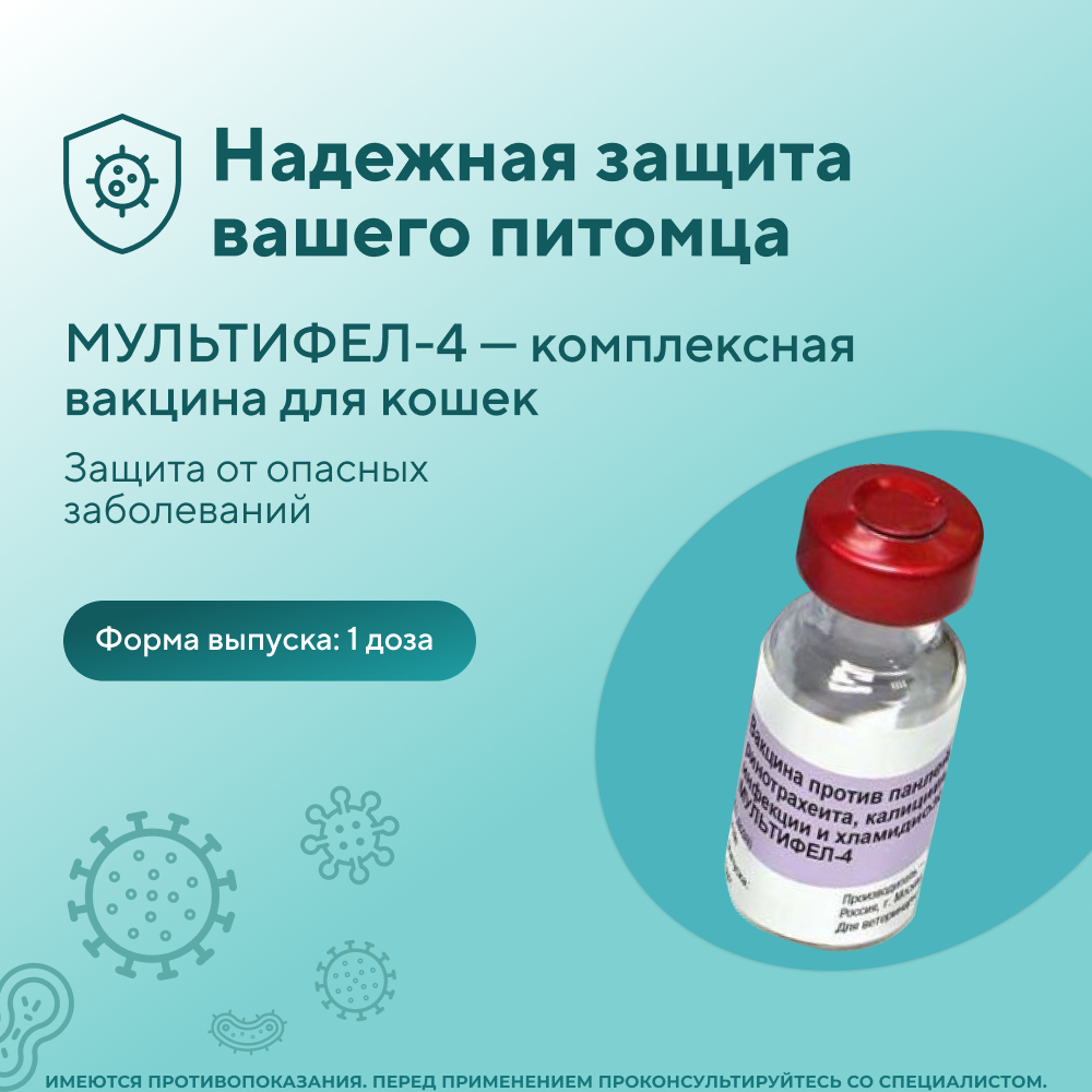 Вакцина для кошек НАРВАК Мультифел-4, 1 доза