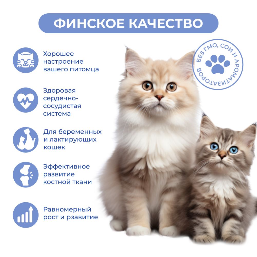 Корм для котят и беременных кошек JARVI кусочки в желе, телятина пауч