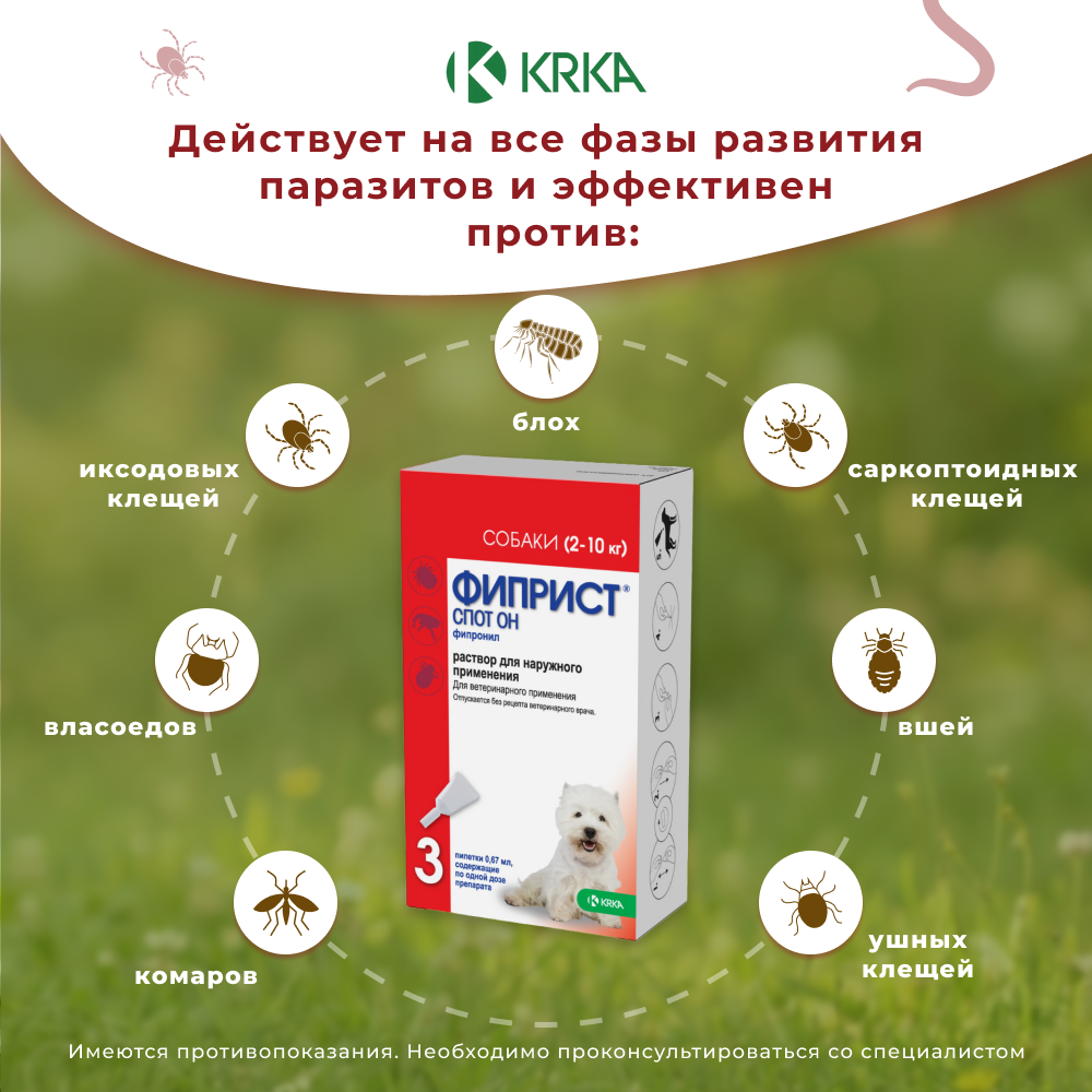 Капли для собак KRKA Фиприст Спот Он 2-10кг 67мг (3 пипетки в упак.)