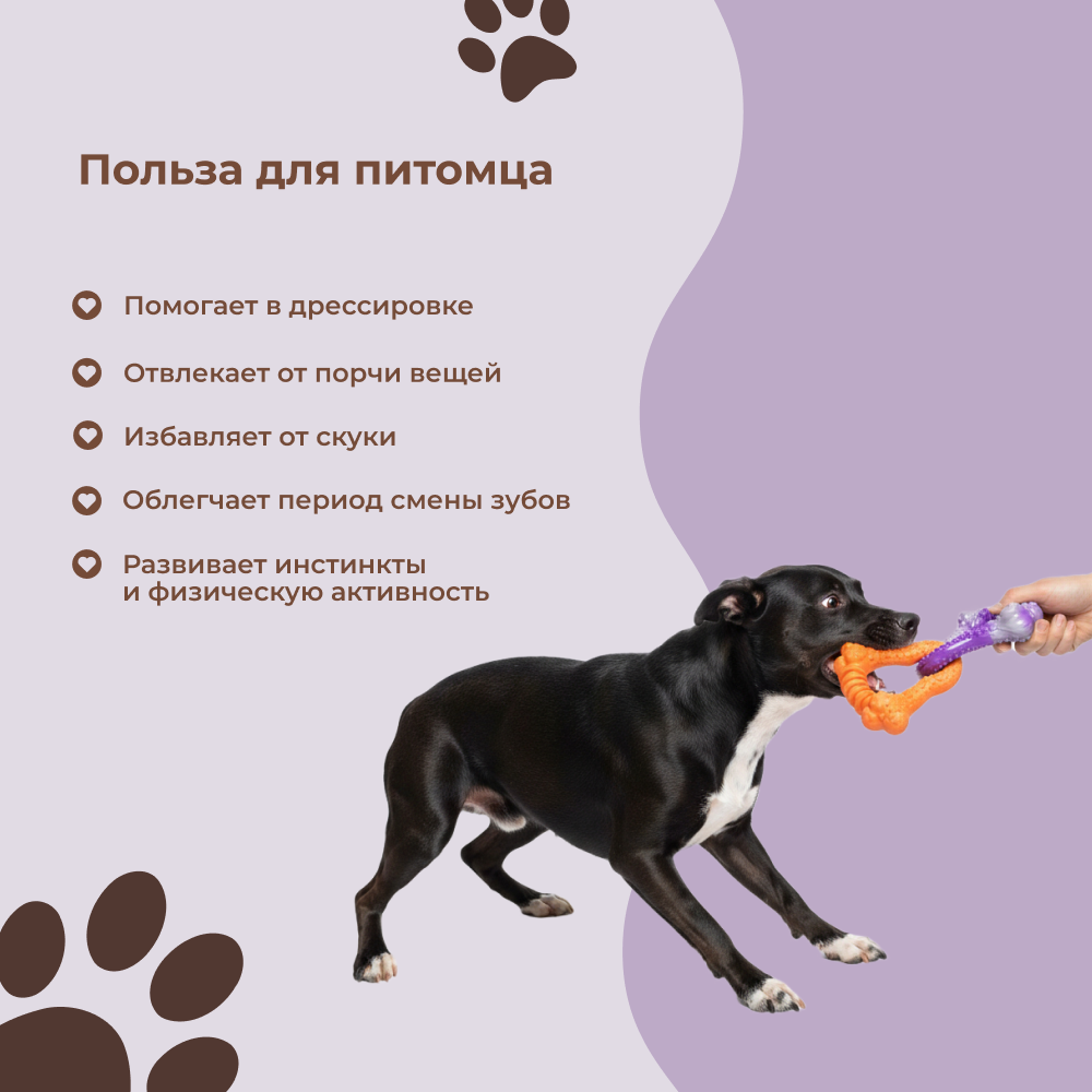 Игрушка для собак FOXIE Тяни-толкай Косточки переплетенные 24х15,5х15,5см