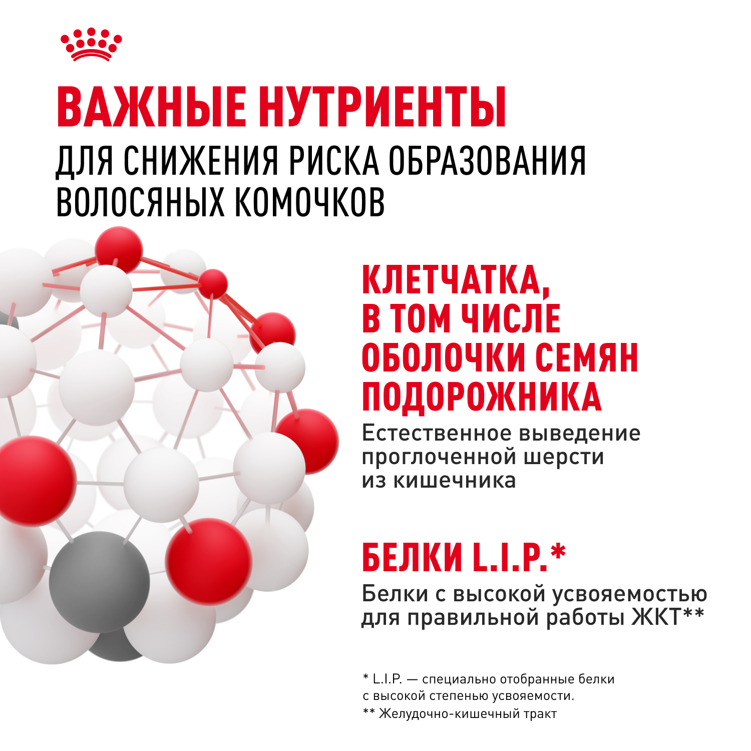 Корм для кошек ROYAL CANIN Hairball Care для профил.образования волосяных комочков, соус пауч