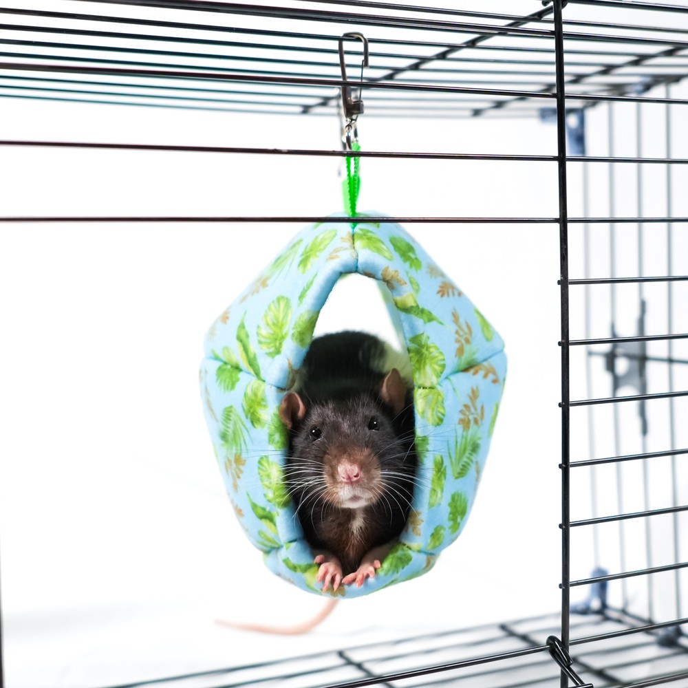 Гамак для грызунов и хорьков BAMBINI PETS Мяч регби подвесной из фетра 18х13х13см