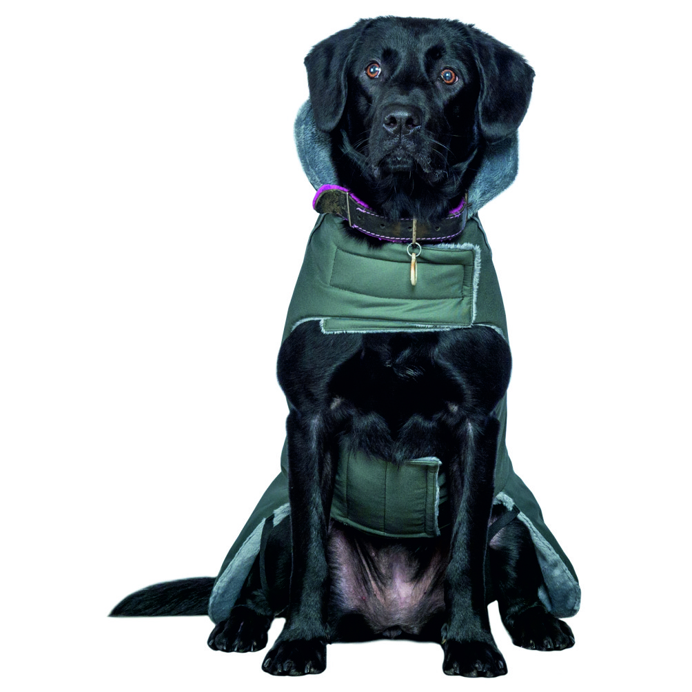 Попона для собак DOG MODA Бостон-8 61см