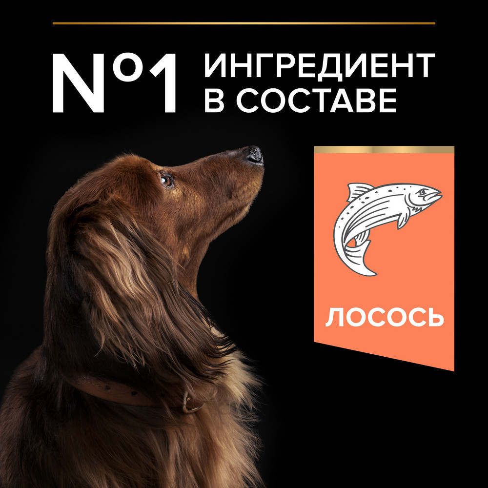 Корм для собак PRO PLAN Sensitive Skin для мелких и карликовых пород с чув. кожей, лосось сух.