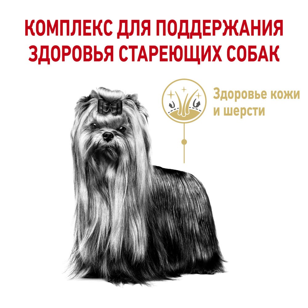 Корм для собак ROYAL CANIN Yorkshire Terrier для породы Йоркширский терьер старше 8 лет сух.