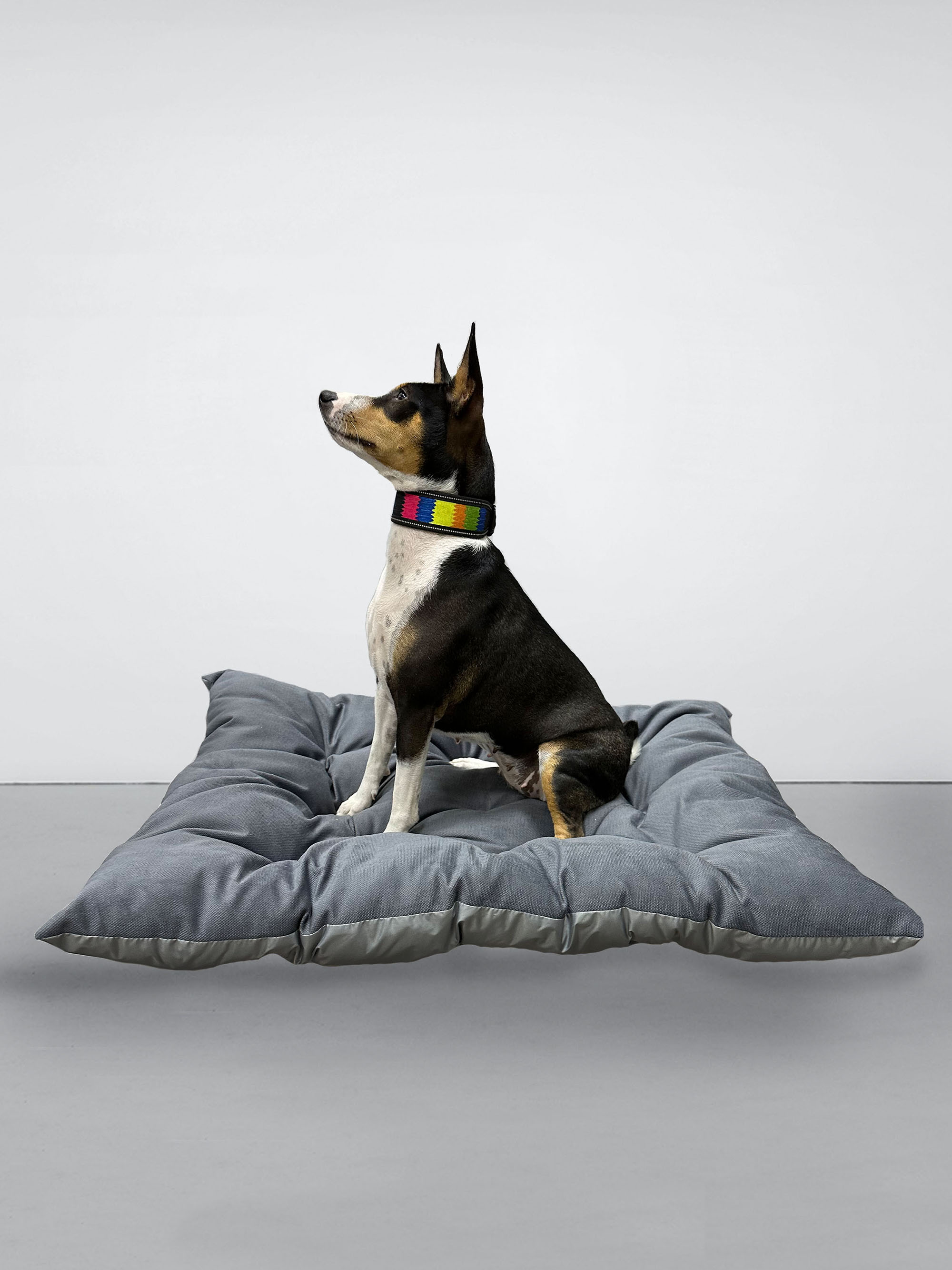 Матрас для животных DOG MODA Bubble мягкий, серый 60х80х10см