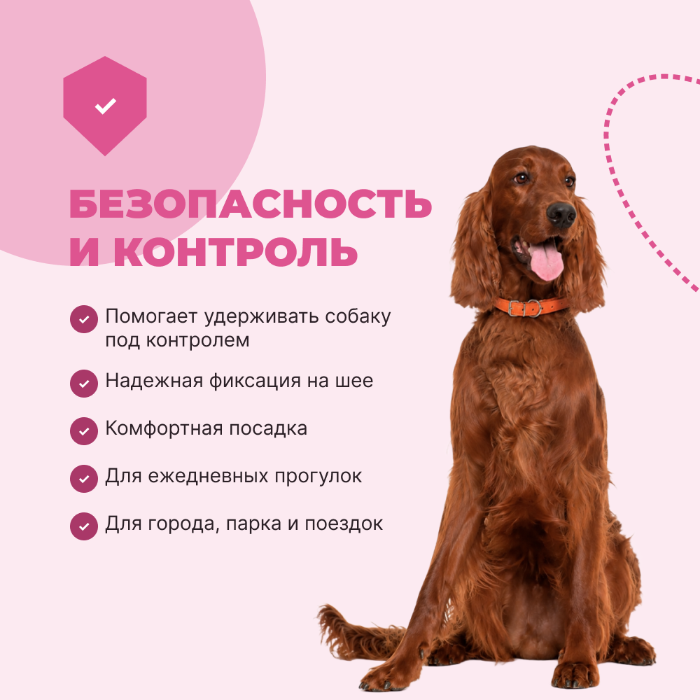 Ошейник для собак FOXIE Gladiolus M 1,5х55см розовый