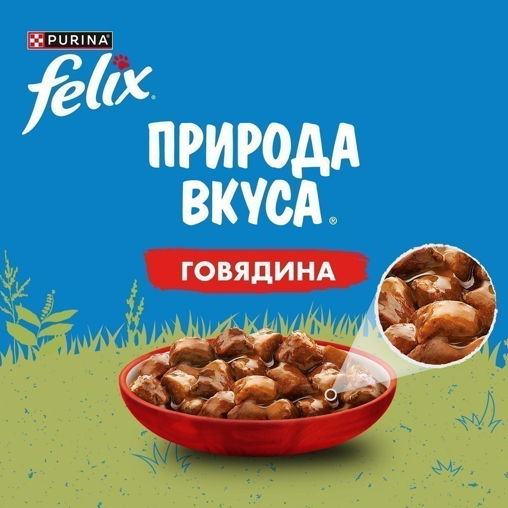 Корм для кошек FELIX Природа вкуса, с говядиной в соусе пауч