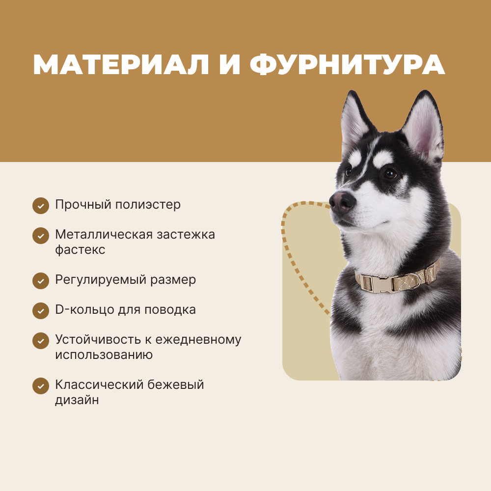 Ошейник для собак FOXIE Beige M 1,9х35-50см бежевый