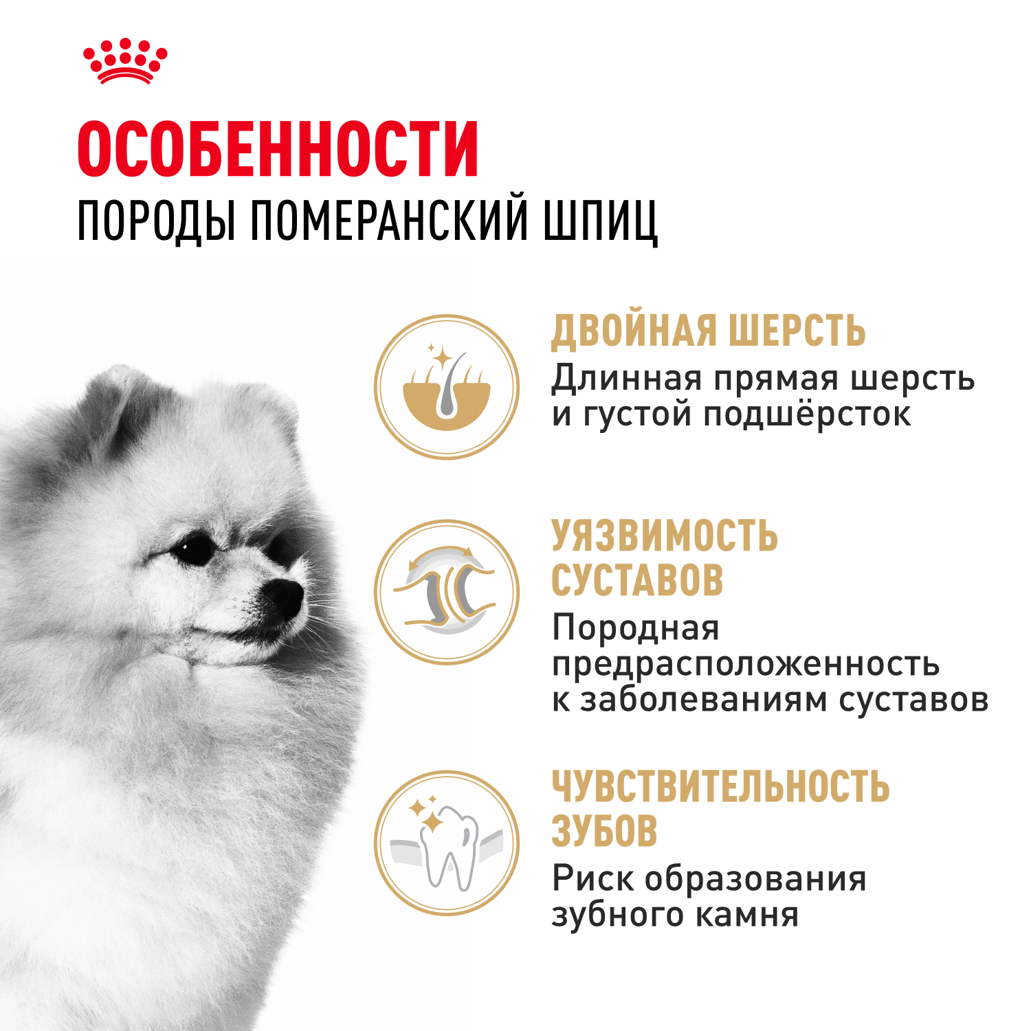Корм для собак ROYAL CANIN Pomeranian для породы Померанский шпиц старше 8 месяцев сух.