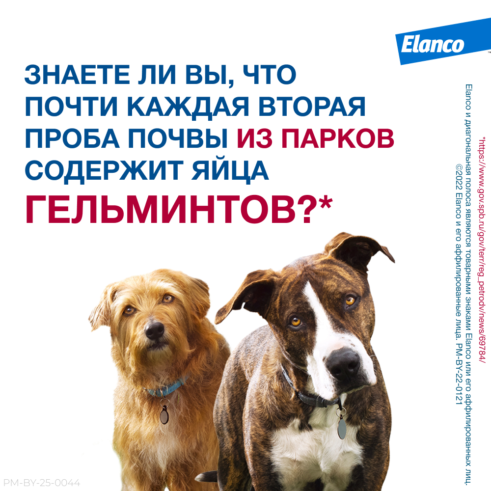Антигельминтик для собак и щенков ELANCO Мильбемакс (0,5-5кг), 2 таблетки
