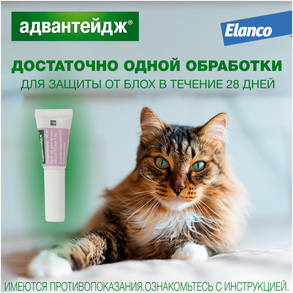 Капли для котят и кошек ELANCO Адвантейдж от блох (более 4кг) 1 пипетка в упаковке 0,8мл