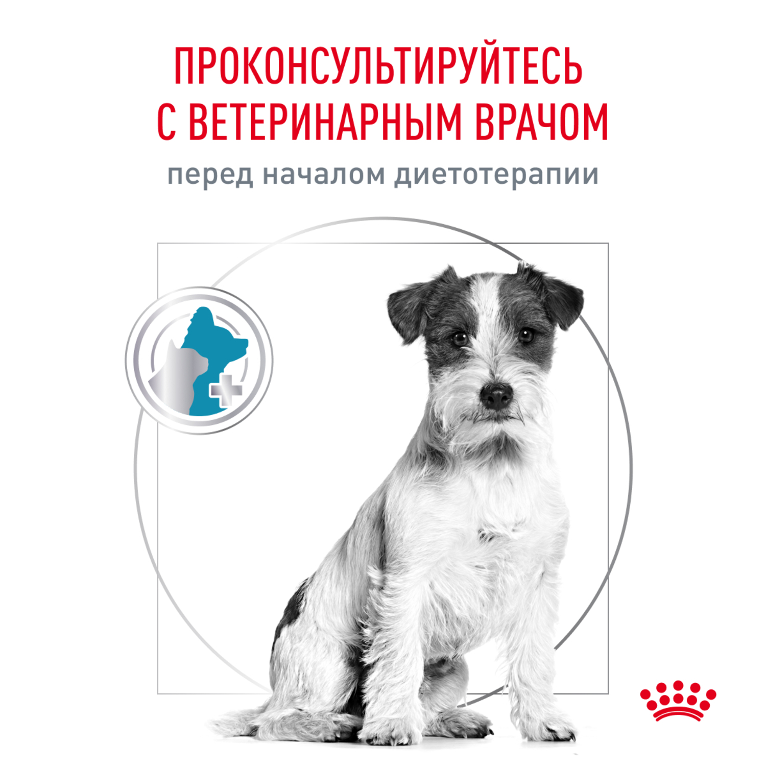 Корм для собак ROYAL CANIN Hypoallergenic Small Dog для мелких пород при пищевой аллергии сух.