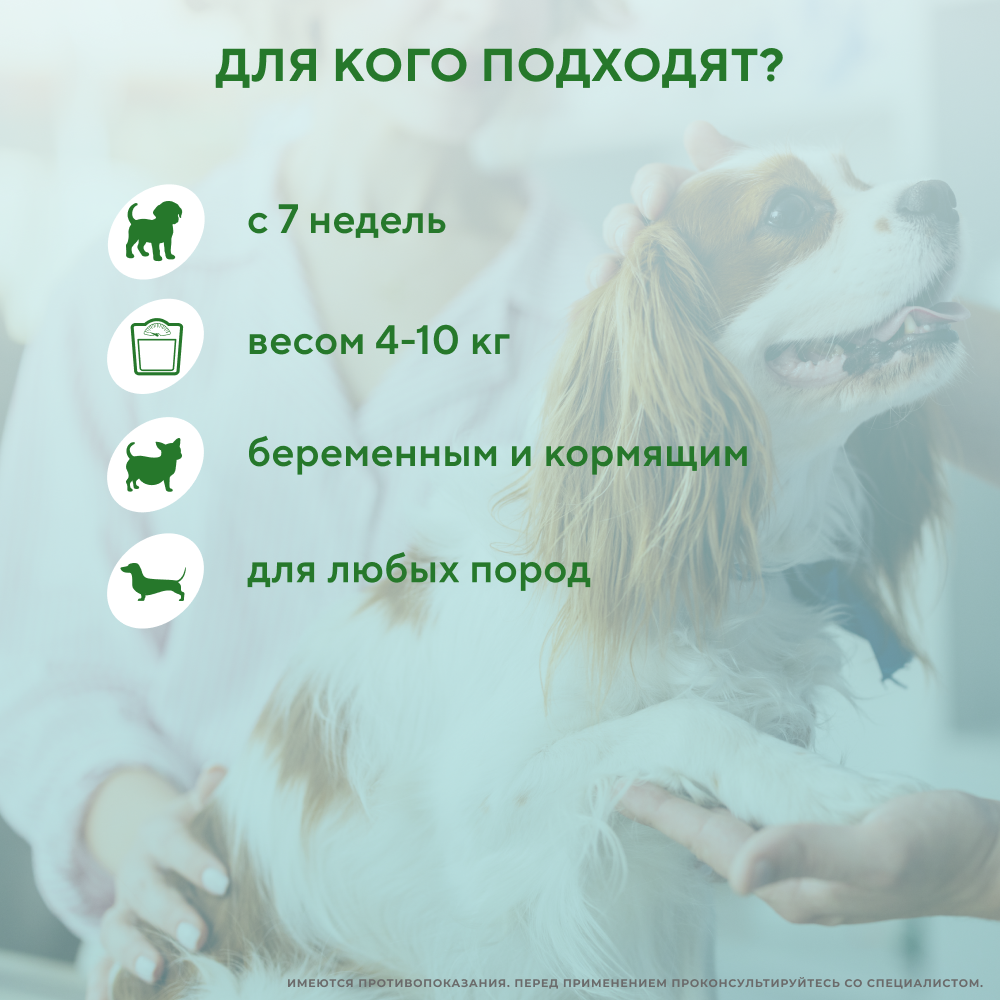 Капли на холку для собак INSPECTOR Quadro от клещей, блох и глистов 4-10кг 3 пипетки