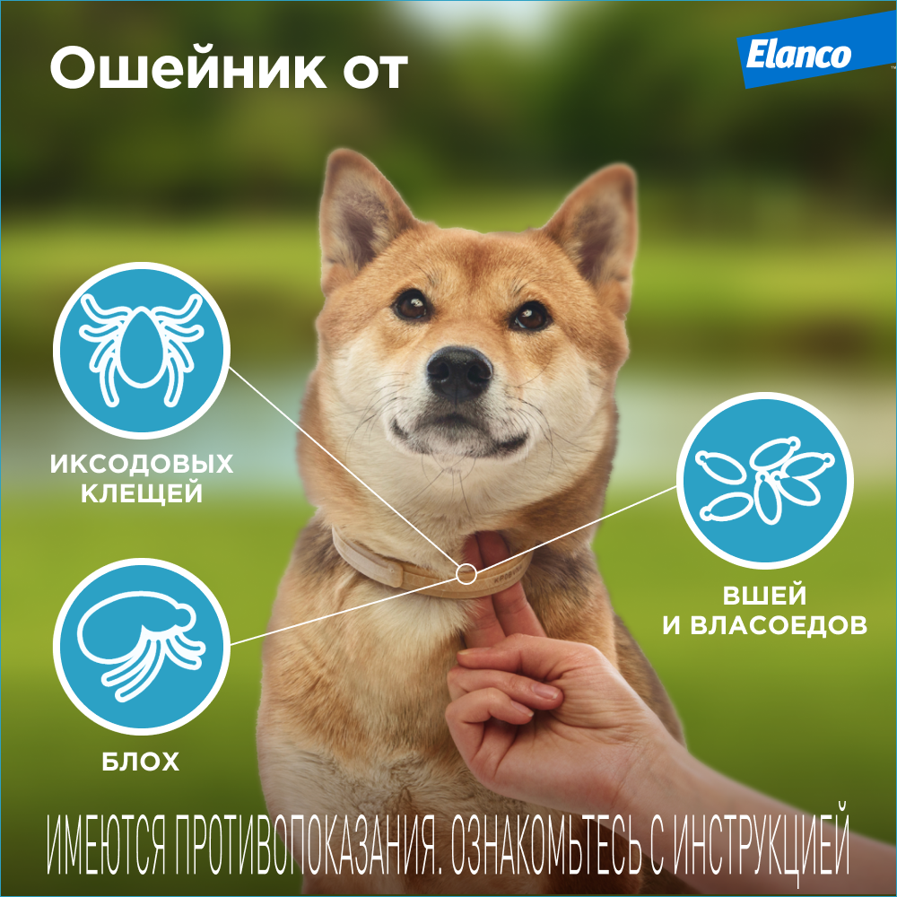 Ошейник для собак ELANCO Килтикс от блох и клещей 35см