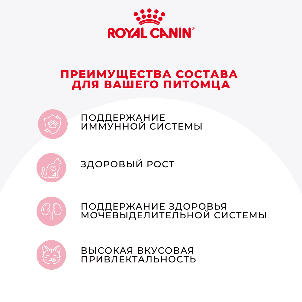 Корм для котят ROYAL CANIN в период третьей фазы роста, мясо в желе пауч