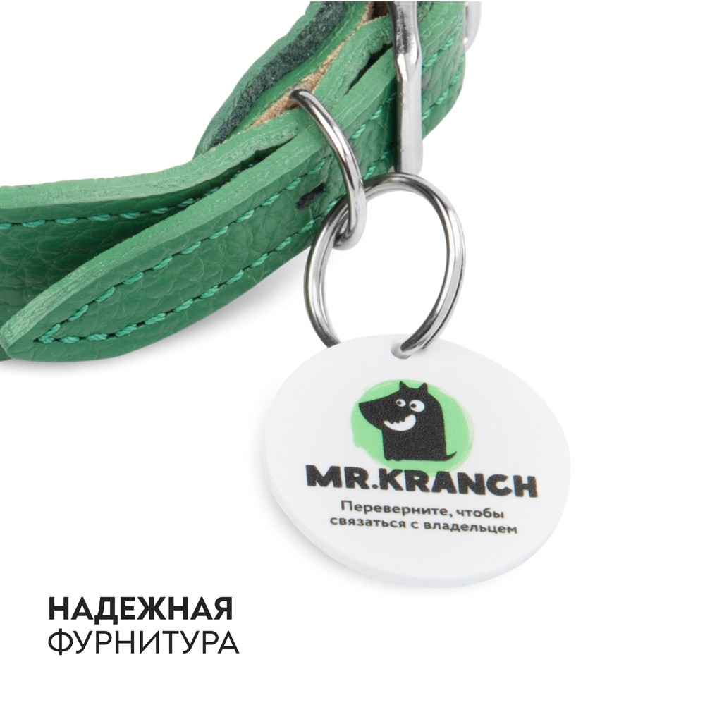 Ошейник-селедка для собак MR.KRANCH из натуральной кожи с QR-адресником, зеленый 19-23см