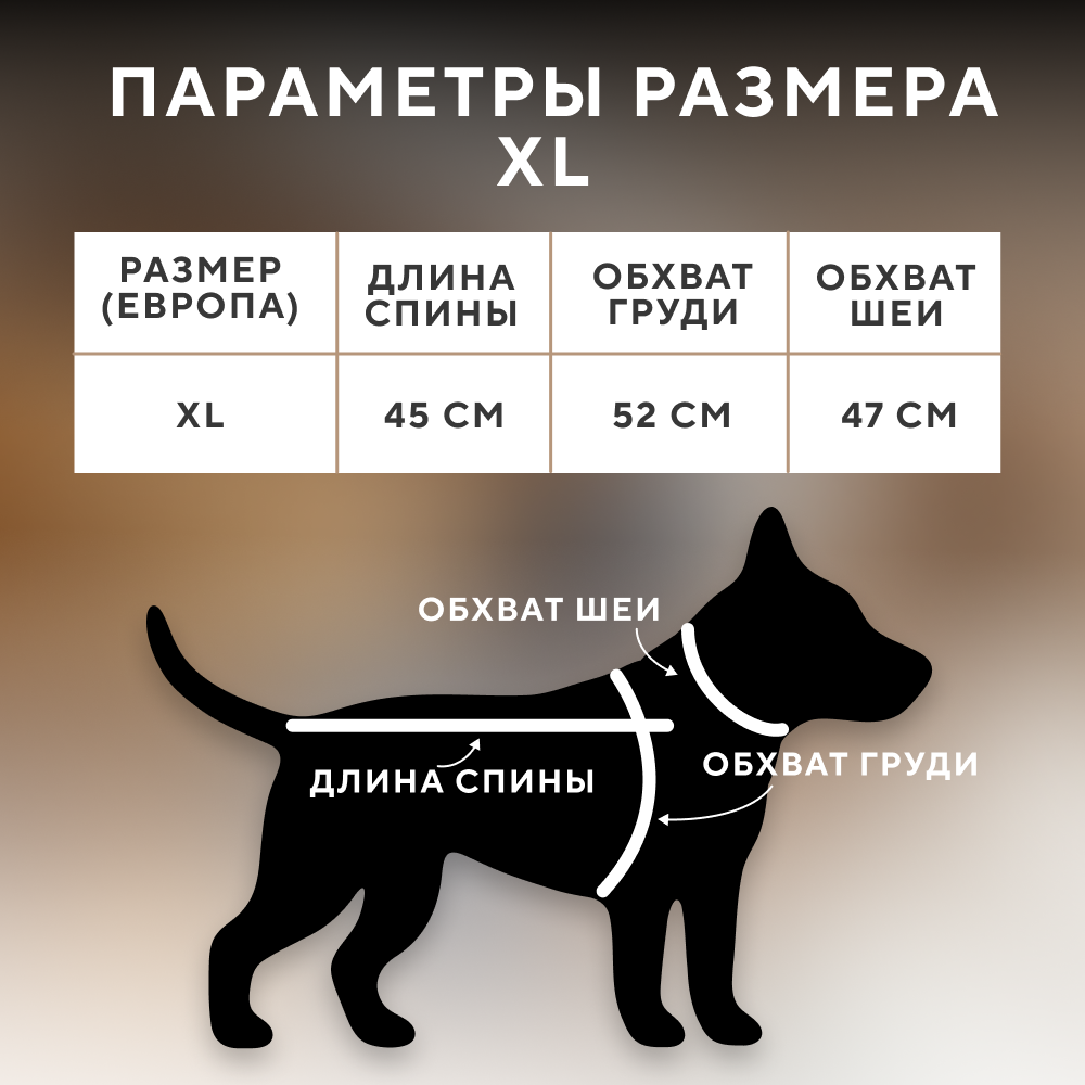 Жилет для собак FOXIE Gloss черный