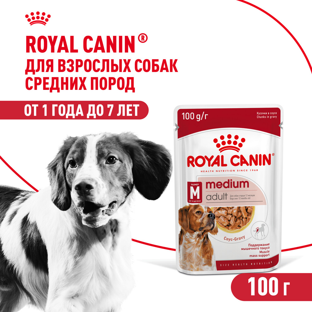 Корм для собак ROYAL CANIN Medium для средних пород, кусочки в соусе пауч