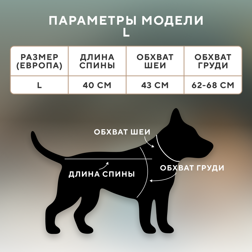 Куртка для собак FOXIE Matcha tea разноцветная