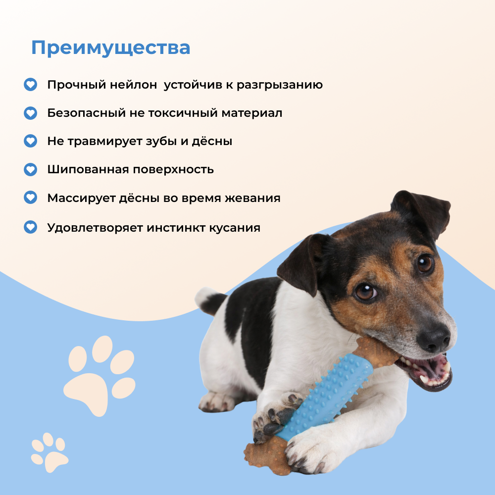 Игрушка для собак FOXIE Munch Кость массажная 16,8х5,5х2см нейлон синяя