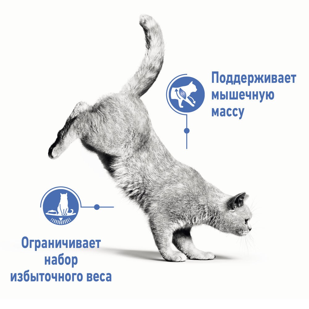 Корм для кошек ROYAL CANIN Light Weight Care для профилактики лишнего веса сух.