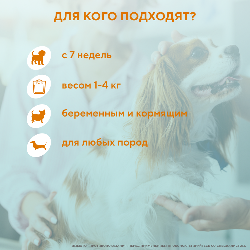 Капли для собак INSPECTOR Quadro от внешних и внутренних паразитов (до 4кг)
