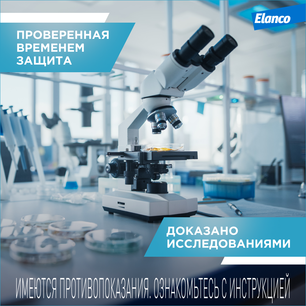 Ошейник для собак ELANCO Килтикс от блох и клещей 48см
