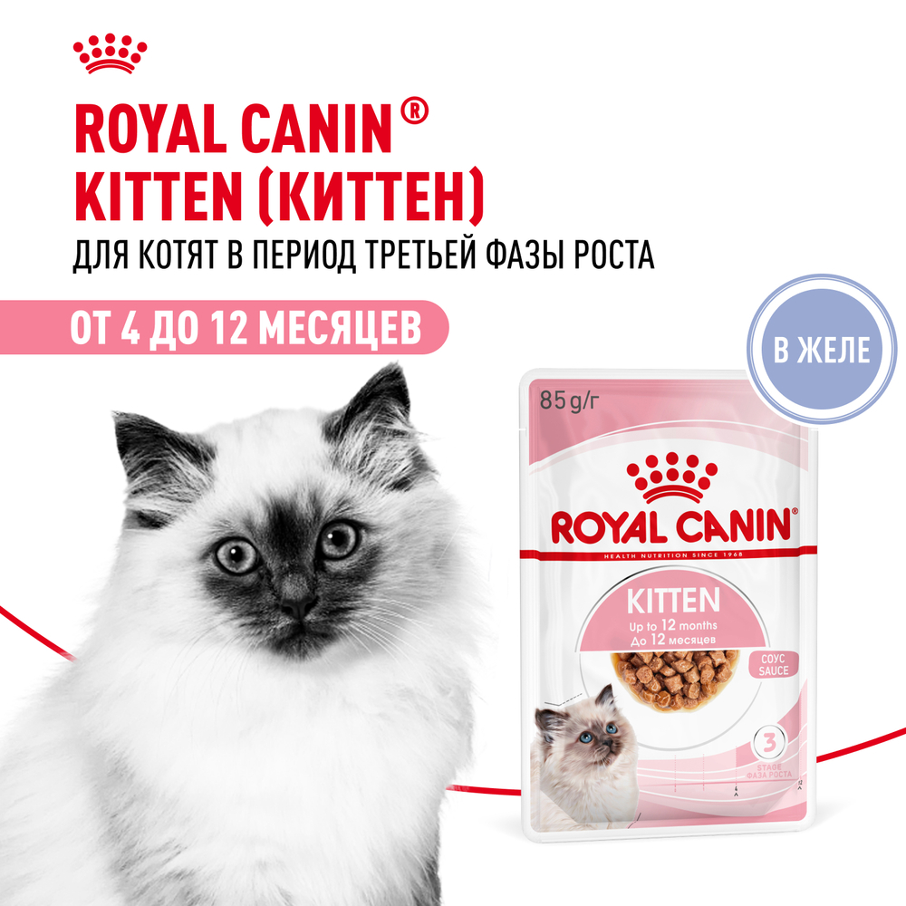 Корм для котят ROYAL CANIN в период третьей фазы роста, мясо в желе пауч