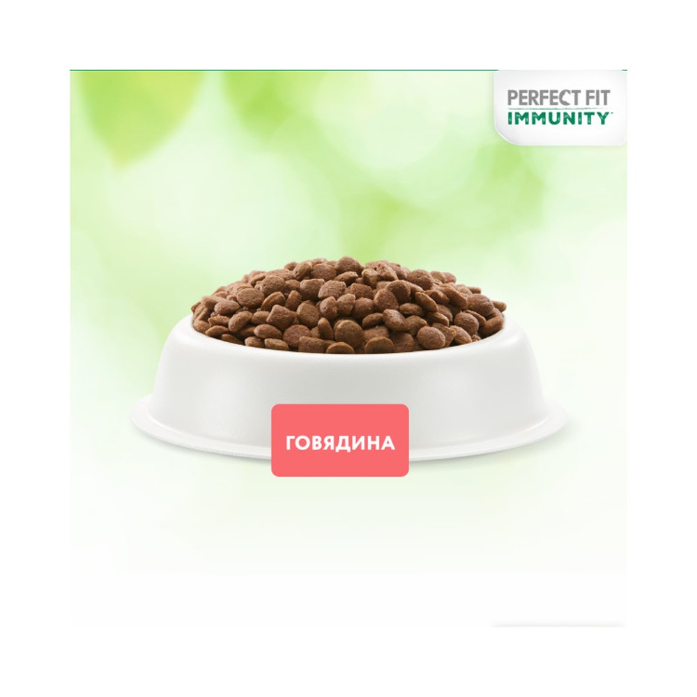 Корм для кошек PERFECT FIT Immunity говядина, лён, голубика сух.