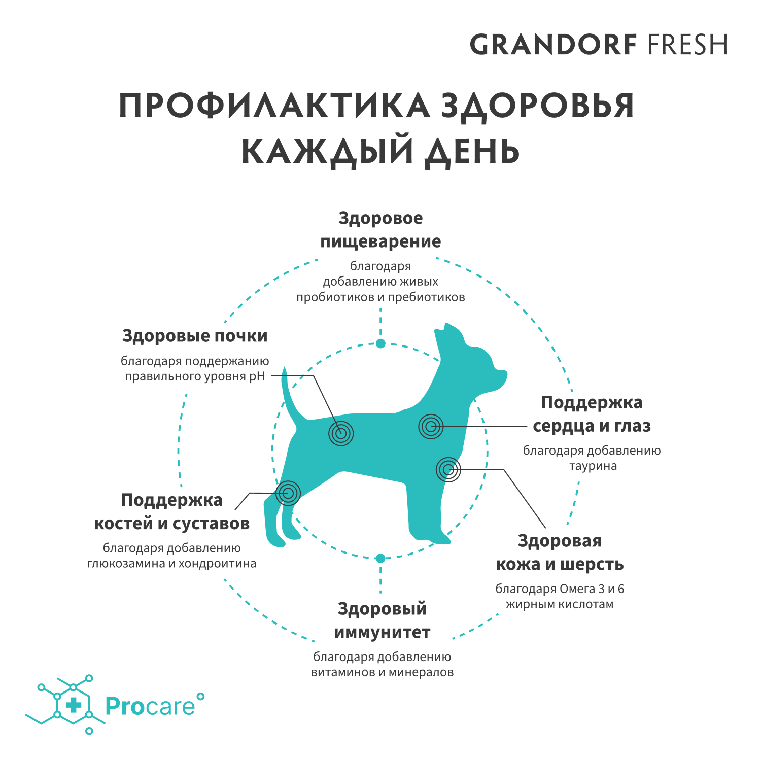 Беззерновой корм с живыми пробиотиками для собак GRANDORF Fresh Dog Mini свежее филе лосося с бататом для мелких пород сух.