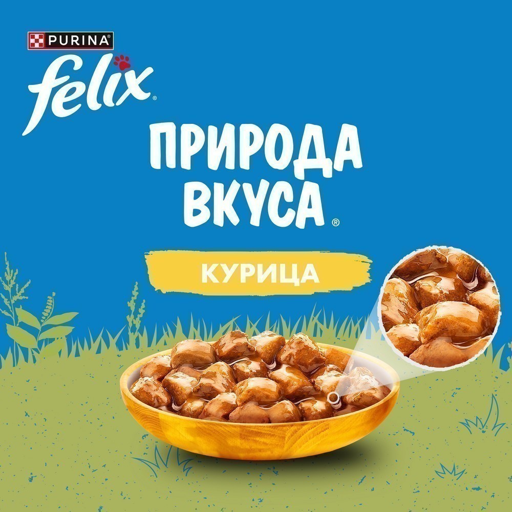 Корм для кошек FELIX Природа вкуса с курицей в соусе пауч