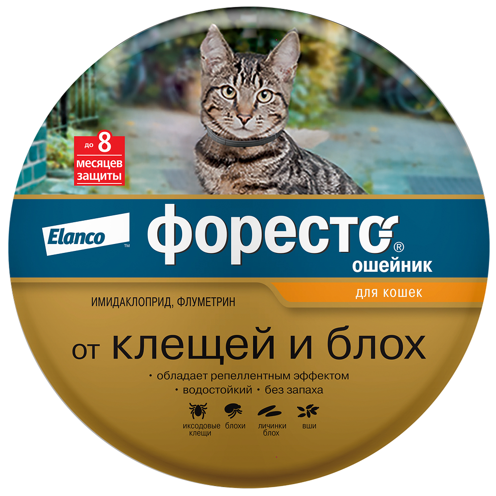 Ошейник для кошек ELANCO Форесто от клещей, блох и вшей, защита 8 месяцев