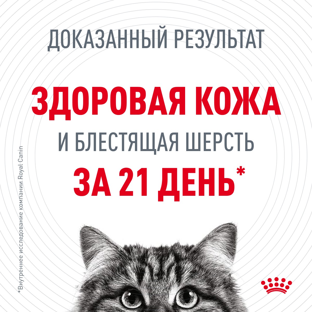 Корм для кошек ROYAL CANIN Hair&Skin Care для здоровья кожи и шерсти, тонк.ломтики в соусе пауч