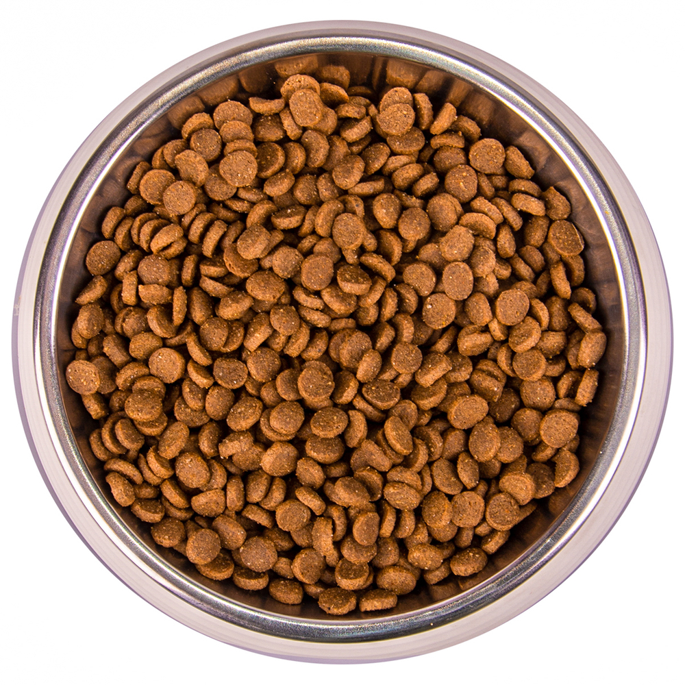 Корм для котят MONGE Cat Monoprotein форель сух.