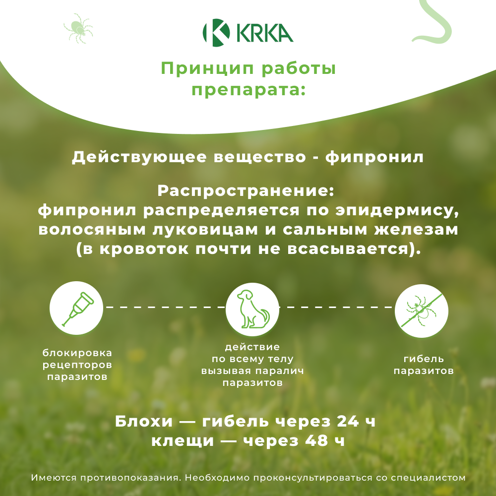 Капли для собак KRKA Фиприст Спот Он 10-20кг 134мг (3 пипетки в упак.)