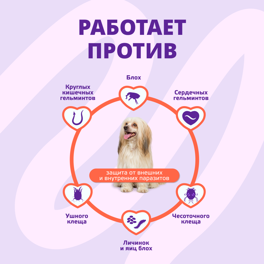 Капли для собак KRKA Селафорт от ушных и чесоточ.клещей, блох, гельминтов 2,6-5кг (30мг) 1 уп.