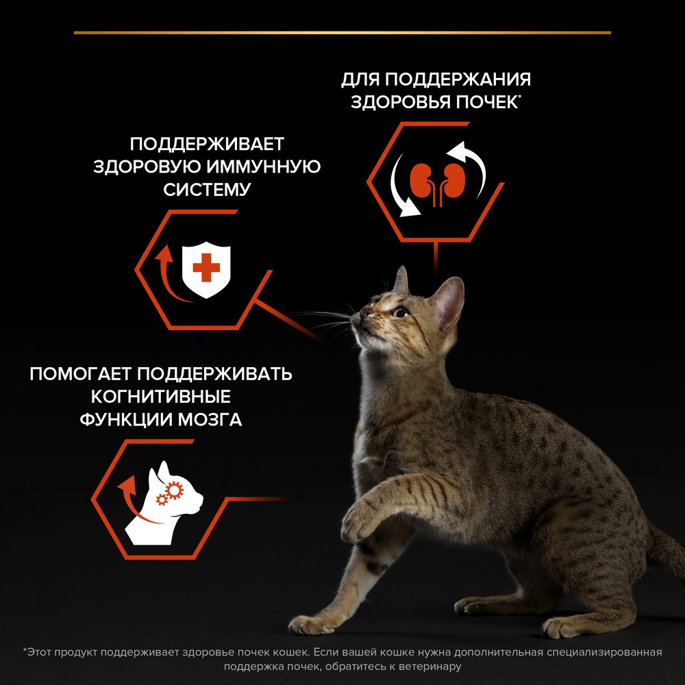 Корм для кошек PRO PLAN Vital Functions для поддержания здоровья органов чувств с лососем сух.