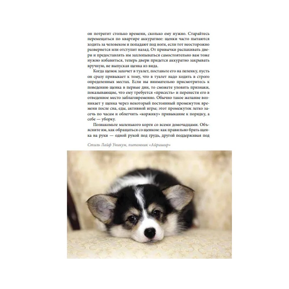 Книга DOG-ПРОФИ "Вельш-корги-пемброк"