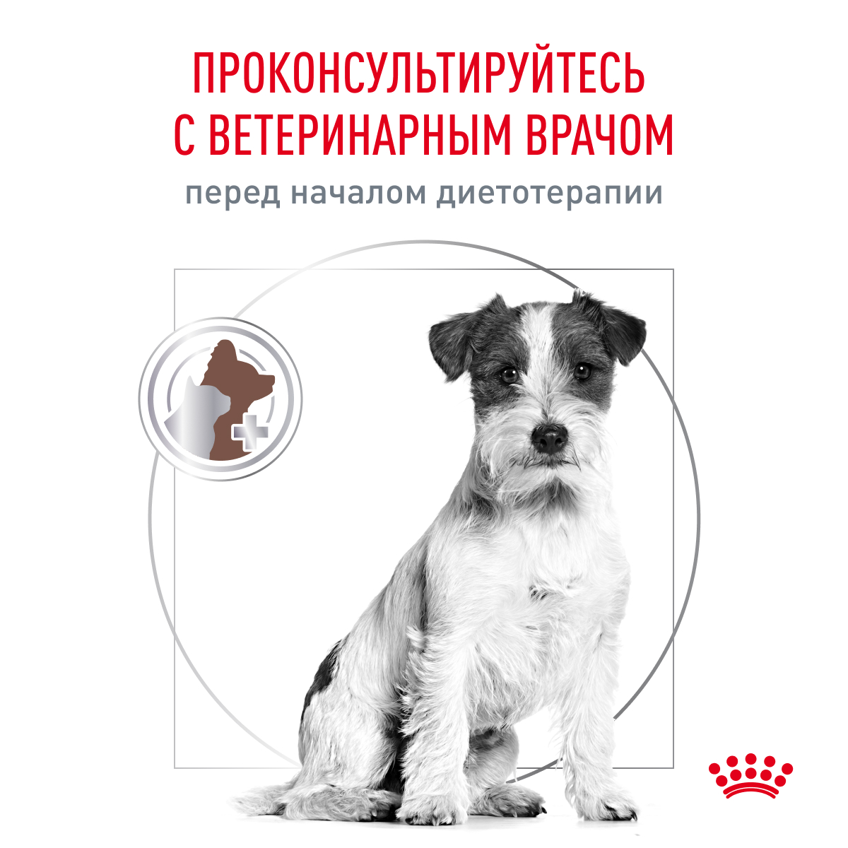 Корм для собак ROYAL CANIN Vet Diet Gastro Intestinal Low Fat для мелких пород сух.