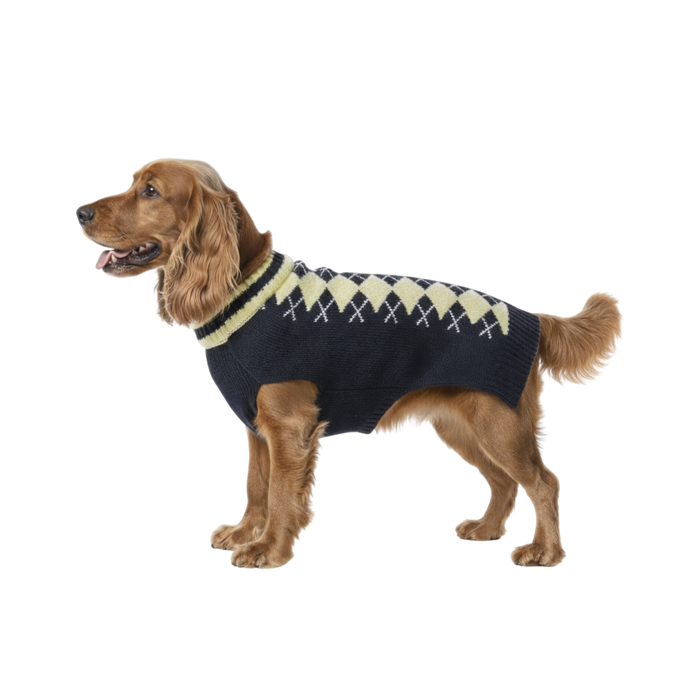Свитер для собак FOXIE Warmth and comfort сине-желтый
