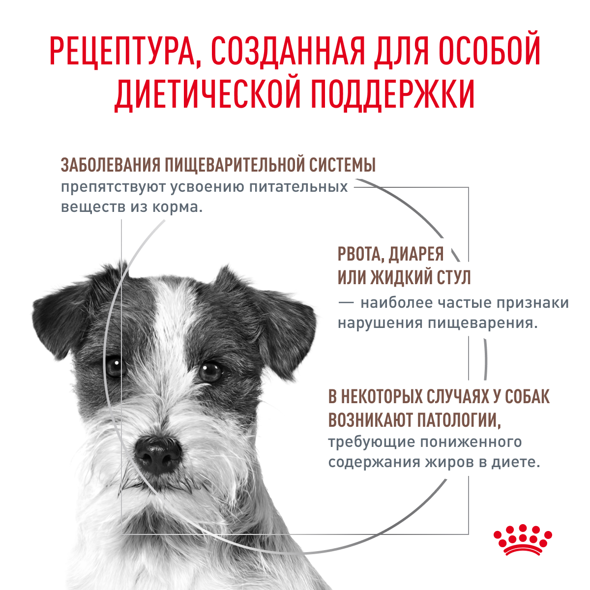 Корм для собак ROYAL CANIN Vet Diet Gastro Intestinal Low Fat для мелких пород сух.