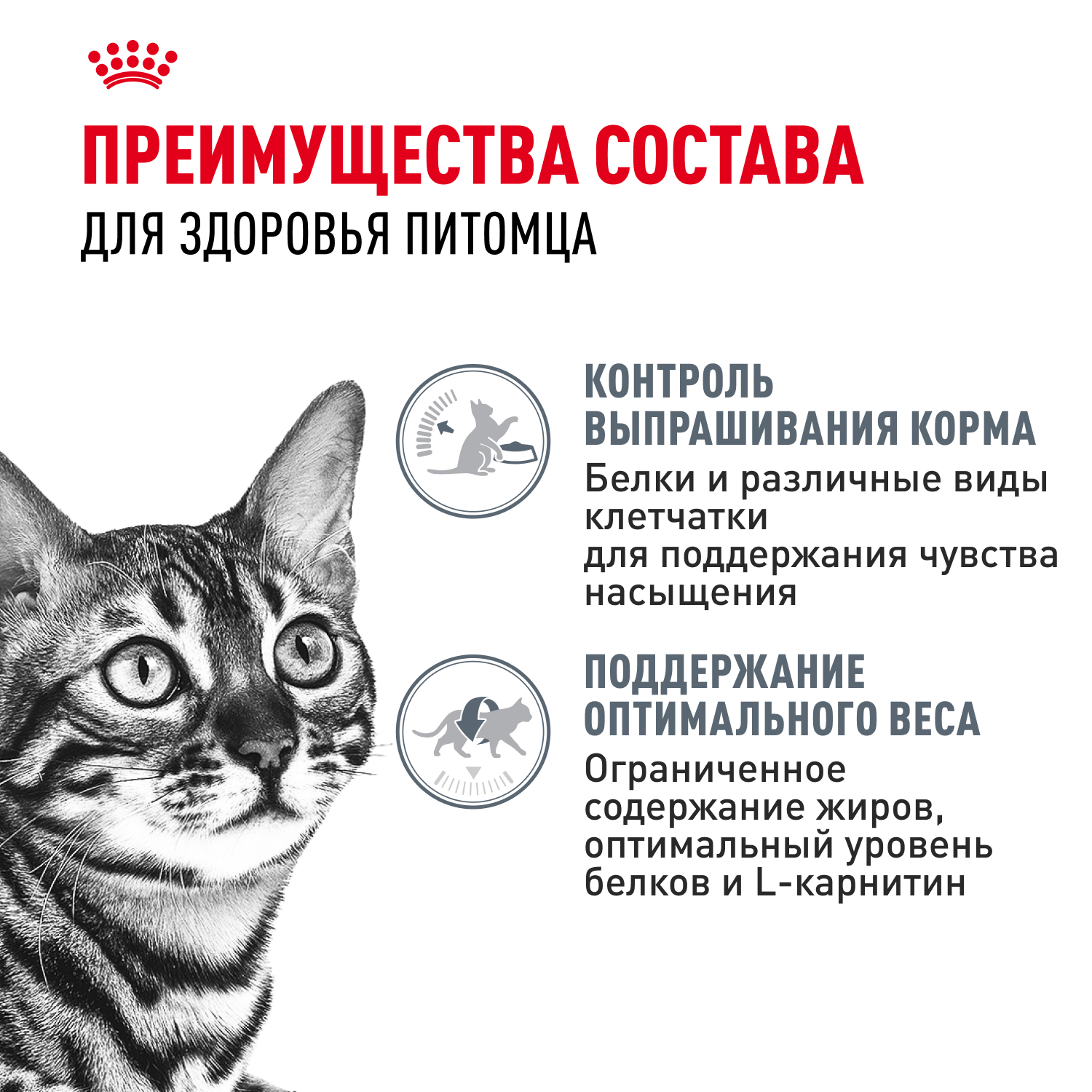 Корм для кошек ROYAL CANIN Appetite Control Care для контр.выпр.корма, мелк.кусочки в соусе пауч