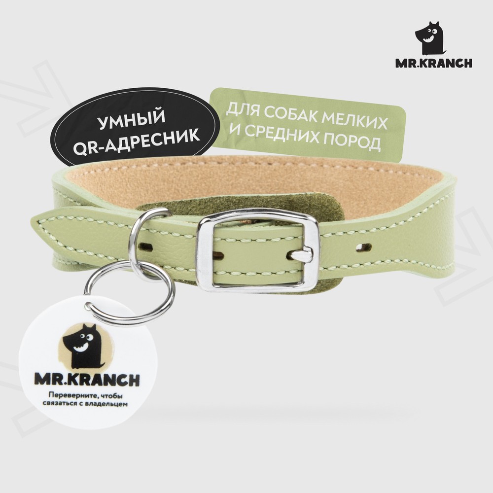 Ошейник для собак MR.KRANCH из натуральной кожи с QR-адресником, нежно-зеленый 38-45см