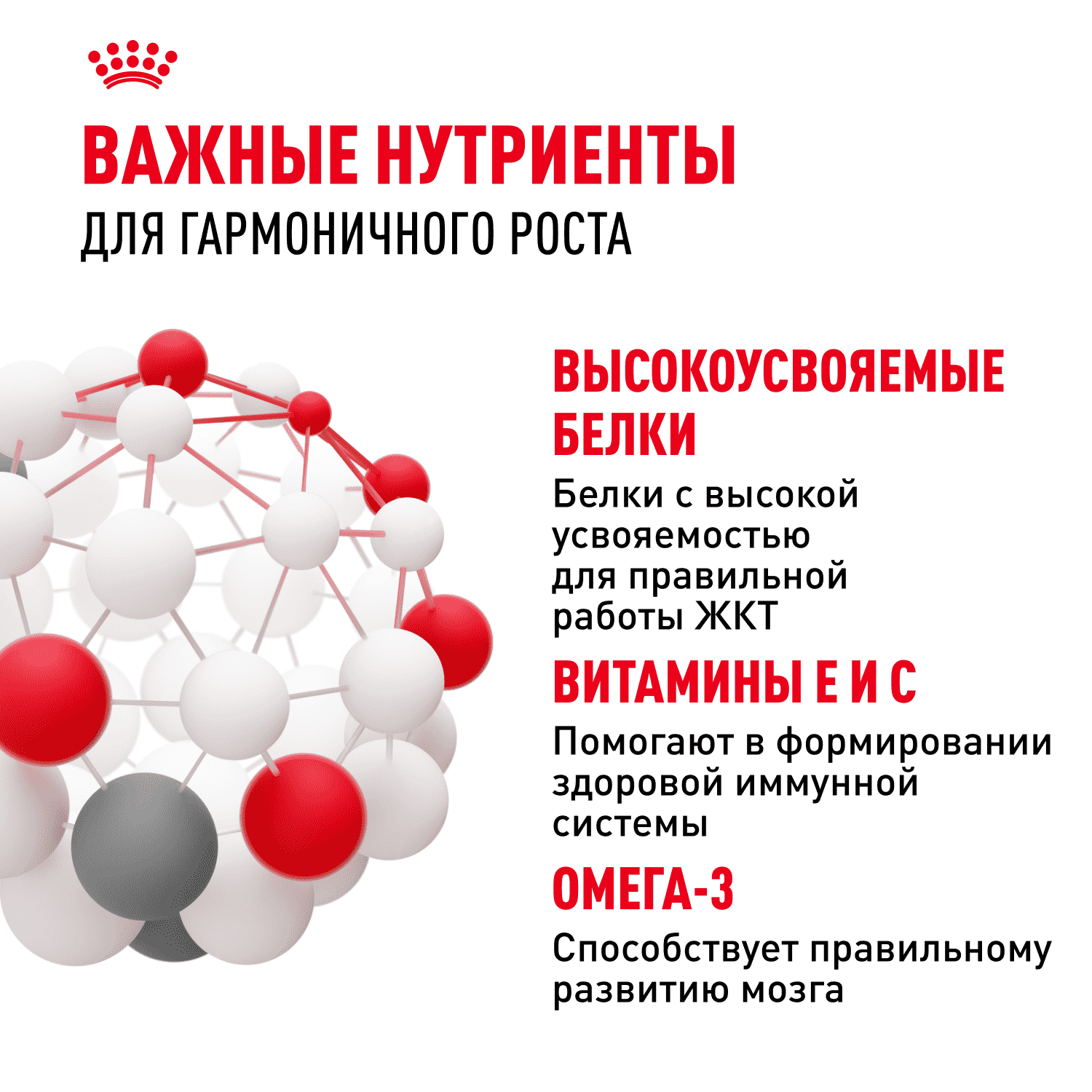 Корм для щенков ROYAL CANIN Mini для мелких пород до 10 месяцев, кусочки в соусе пауч