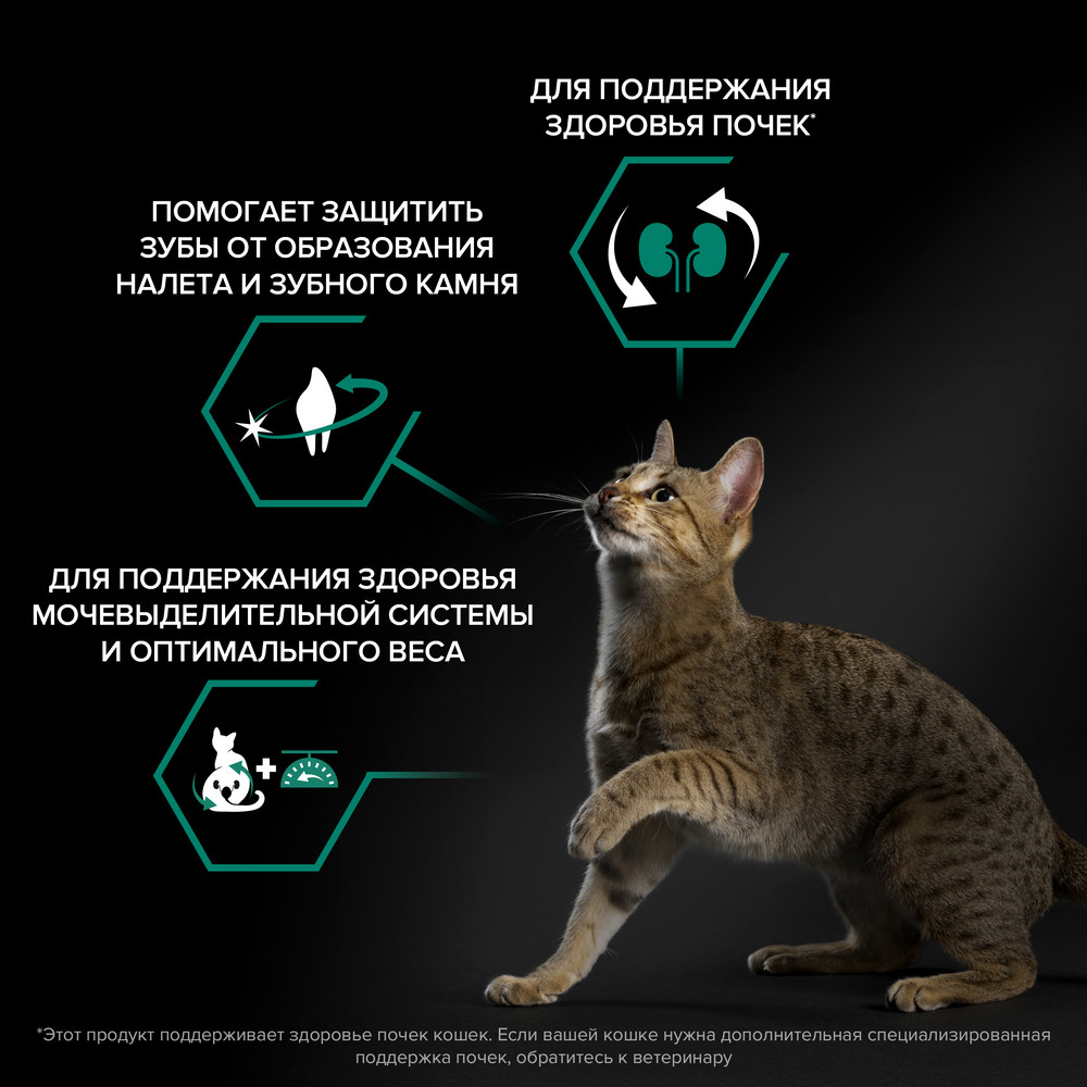 Корм для кошек PRO PLAN Sterilised Renal Plus для стерилизованных, с индейкой сух.