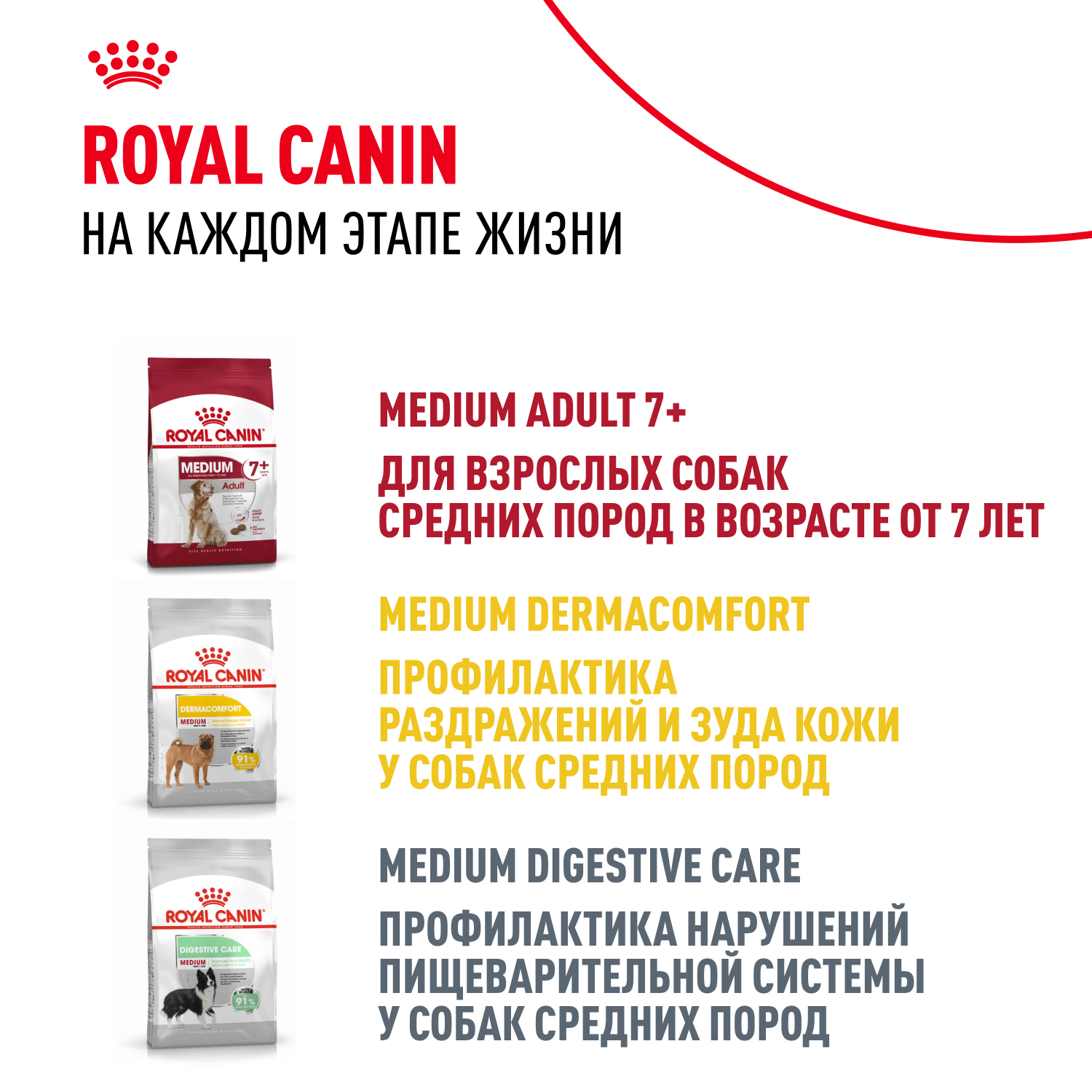 Корм для собак ROYAL CANIN Medium для средних пород, кусочки в соусе пауч